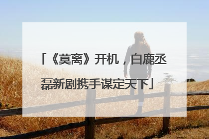 《莫离》开机，白鹿丞磊新剧携手谋定天下