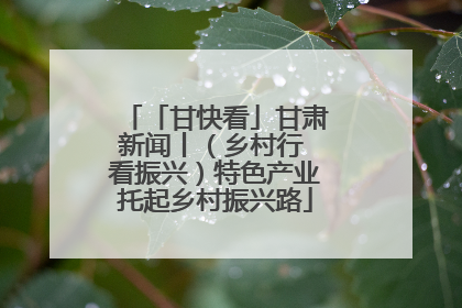 「甘快看」甘肃新闻丨（乡村行 看振兴）特色产业托起乡村振兴路