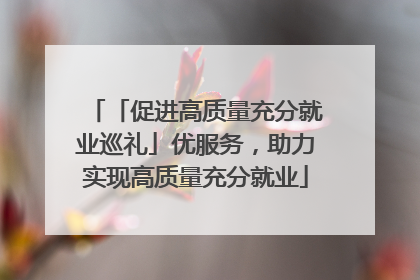 「促进高质量充分就业巡礼」优服务，助力实现高质量充分就业