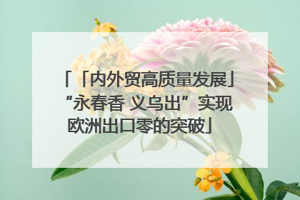 「内外贸高质量发展」“永春香 义乌出”实现欧洲出口零的突破