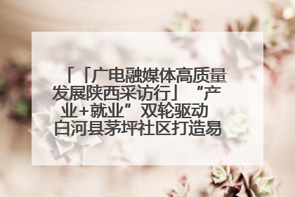 「广电融媒体高质量发展陕西采访行」“产业+就业”双轮驱动 白河县茅坪社区打造易地搬迁后扶新样本