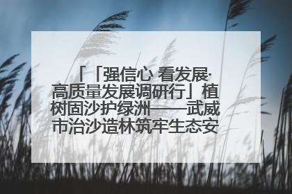 「强信心 看发展·高质量发展调研行」植树固沙护绿洲——武威市治沙造林筑牢生态安全屏障见闻