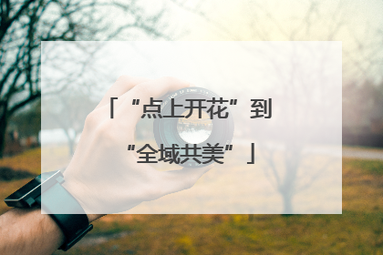 “点上开花”到“全域共美”