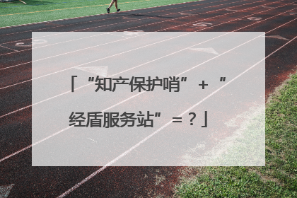 “知产保护哨”+“经盾服务站”=？