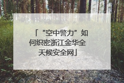 “空中警力”如何织密浙江金华全天候安全网