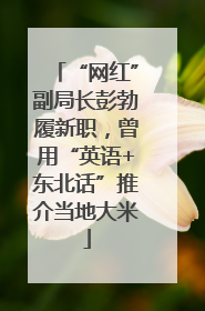 “网红”副局长彭勃履新职，曾用“英语+东北话”推介当地大米