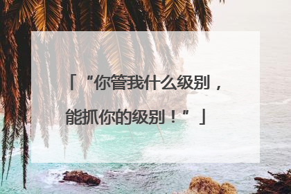 “你管我什么级别，能抓你的级别！”