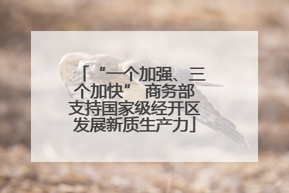 “一个加强、三个加快” 商务部支持国家级经开区发展新质生产力