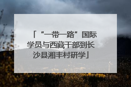 “一带一路”国际学员与西藏干部到长沙县湘丰村研学
