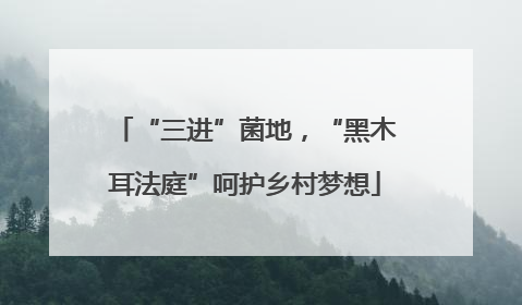 “三进”菌地，“黑木耳法庭”呵护乡村梦想