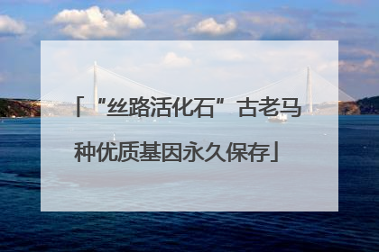 “丝路活化石”古老马种优质基因永久保存