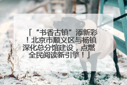 “书香古镇”添新彩！北京市顺义区与杨镇深化总分馆建设，点燃全民阅读新引擎！