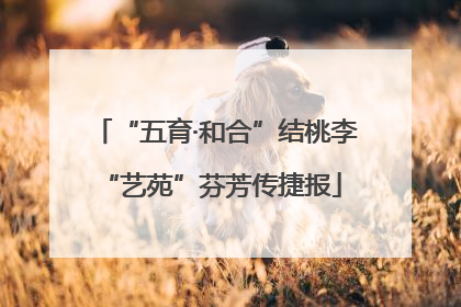 “五育·和合”结桃李 “艺苑”芬芳传捷报