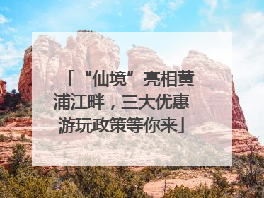 “仙境”亮相黄浦江畔，三大优惠游玩政策等你来