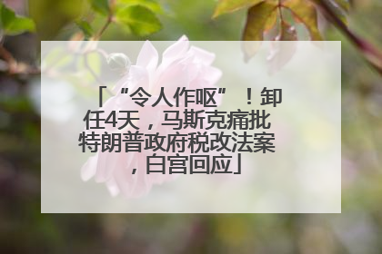 “令人作呕”！卸任4天，马斯克痛批特朗普政府税改法案，白宫回应