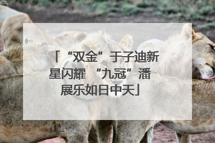 “双金”于子迪新星闪耀 “九冠”潘展乐如日中天
