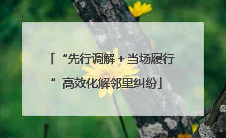 “先行调解＋当场履行”高效化解邻里纠纷