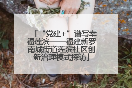 “党建+”谱写幸福莲滨——福建新罗南城街道莲滨社区创新治理模式探访