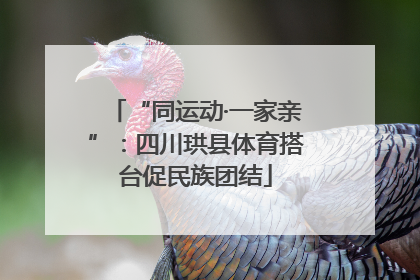 “同运动·一家亲”：四川珙县体育搭台促民族团结