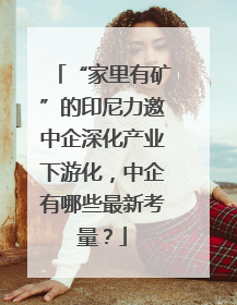 “家里有矿”的印尼力邀中企深化产业下游化，中企有哪些最新考量？