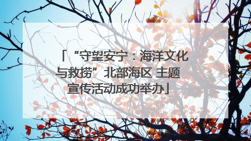 “守望安宁：海洋文化与救捞”北部海区 主题宣传活动成功举办