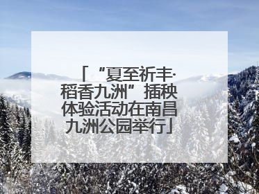 “夏至祈丰·稻香九洲”插秧体验活动在南昌九洲公园举行