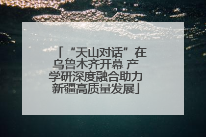 “天山对话”在乌鲁木齐开幕 产学研深度融合助力新疆高质量发展
