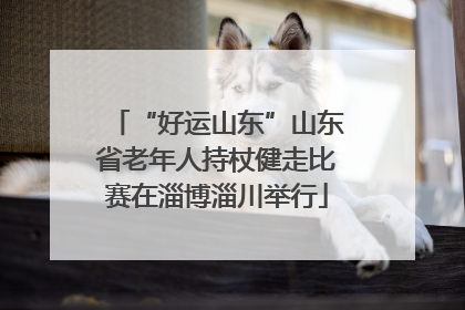 “好运山东”山东省老年人持杖健走比赛在淄博淄川举行