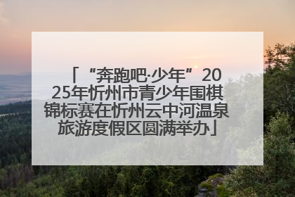 “奔跑吧·少年”2025年忻州市青少年围棋锦标赛在忻州云中河温泉旅游度假区圆满举办