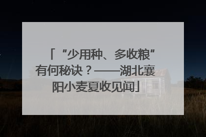 “少用种、多收粮”有何秘诀？——湖北襄阳小麦夏收见闻