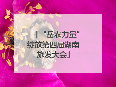 “岳农力量”绽放第四届湖南旅发大会