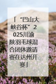 “巴山大峡谷杯”2025川渝陕羽毛球混合团体邀请赛在达州开赛