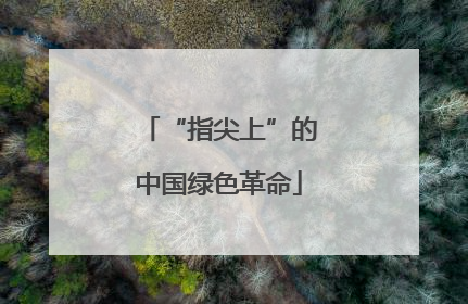 “指尖上”的中国绿色革命
