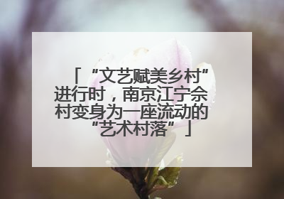 “文艺赋美乡村”进行时，南京江宁佘村变身为一座流动的“艺术村落”