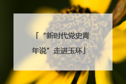 “新时代党史青年说”走进玉环