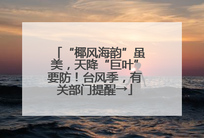 “椰风海韵”虽美，天降“巨叶”要防！台风季，有关部门提醒→