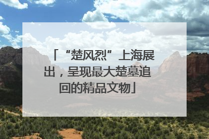“楚风烈”上海展出，呈现最大楚墓追回的精品文物
