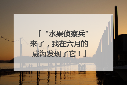 “水果侦察兵”来了，我在六月的威海发现了它！