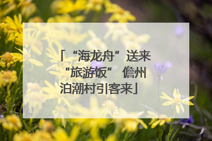 “海龙舟”送来“旅游饭” 儋州泊潮村引客来