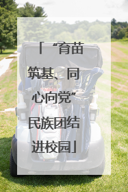 “育苗筑基、同心向党”民族团结进校园