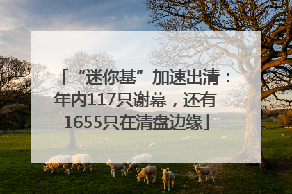“迷你基”加速出清：年内117只谢幕，还有1655只在清盘边缘