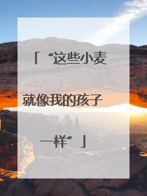 “这些小麦就像我的孩子一样”