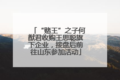 “赌王”之子何猷君收购王思聪旗下企业，接盘后前往山东参加活动