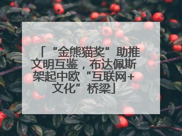“金熊猫奖”助推文明互鉴，布达佩斯架起中欧“互联网+文化”桥梁
