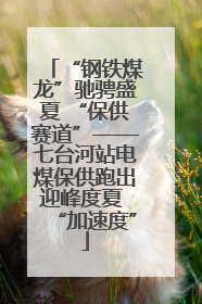 “钢铁煤龙”驰骋盛夏 “保供赛道”——七台河站电煤保供跑出迎峰度夏 “加速度”