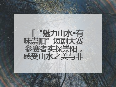 “魅力山水•有味崇阳”短剧大赛参赛者实探崇阳，感受山水之美与非遗文化“提琴戏”魅力