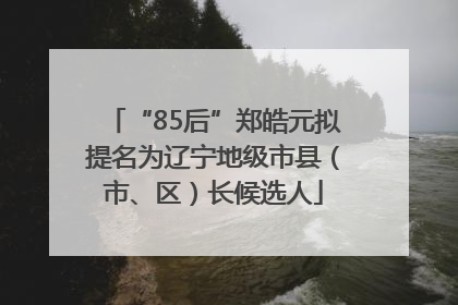 “85后”郑皓元拟提名为辽宁地级市县（市、区）长候选人