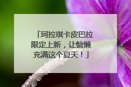 珂拉琪卡皮巴拉限定上新，让慵懒充满这个夏天！