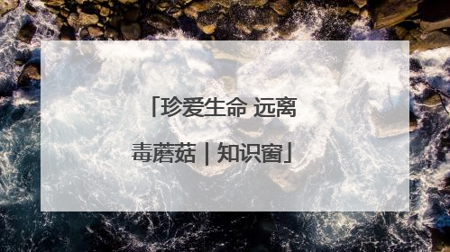 珍爱生命 远离毒蘑菇｜知识窗