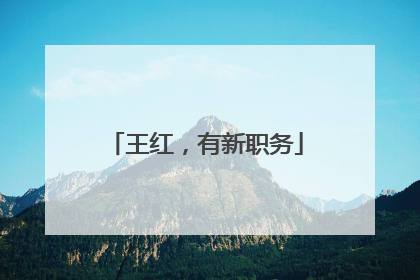 王红，有新职务